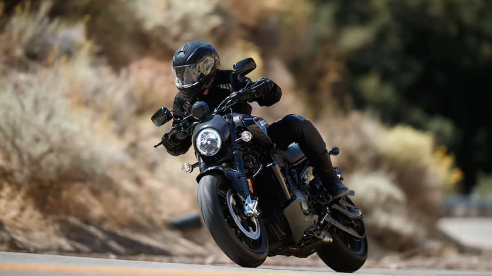 Harley-Davidson Bronx 975